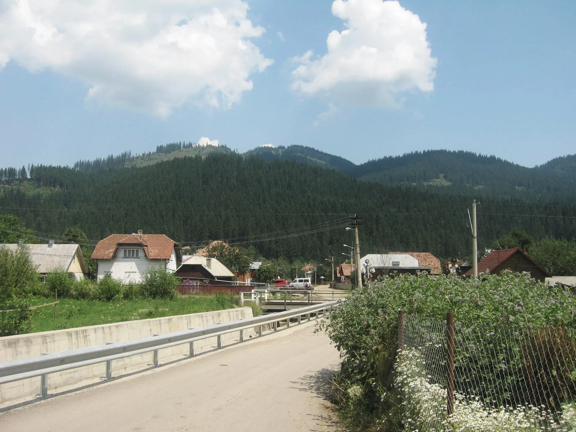 Câmpulung Moldovenesc și munții din jur