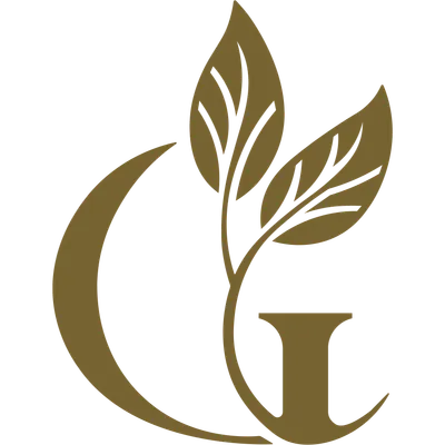 Logo Gia Medical Center
